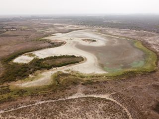 La laguna más grande de Doñana se seca por segundo año consecutivo