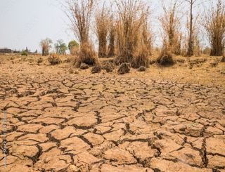 Land degradation threatens half of humanity, UN report warns
