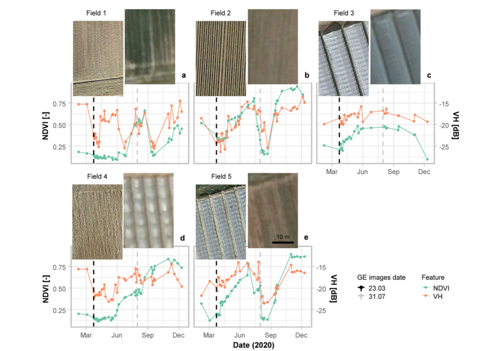 Zeitreihen für Erdbeerfelder, die über den Parzellen (a–e) abgebildet sind. Die Bilder der Felder sind in Google Earth verfügbar und wurden am 23.03. und 31.07.2020 aufgenommen, dargestellt durch die schwarzen bzw. grauen gestrichelten Linien. Zeitreihen für Erdbeerfelder, die über den Parzellen (a–e) abgebildet sind. Die Bilder der Felder sind in Google Earth verfügbar und wurden am 23.03. und 31.07.2020 aufgenommen, dargestellt durch die schwarzen bzw. grauen gestrichelten Linien.