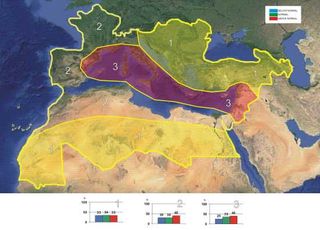 Lanzamiento de MedCOF: predicción estacional para el Mediterráneo