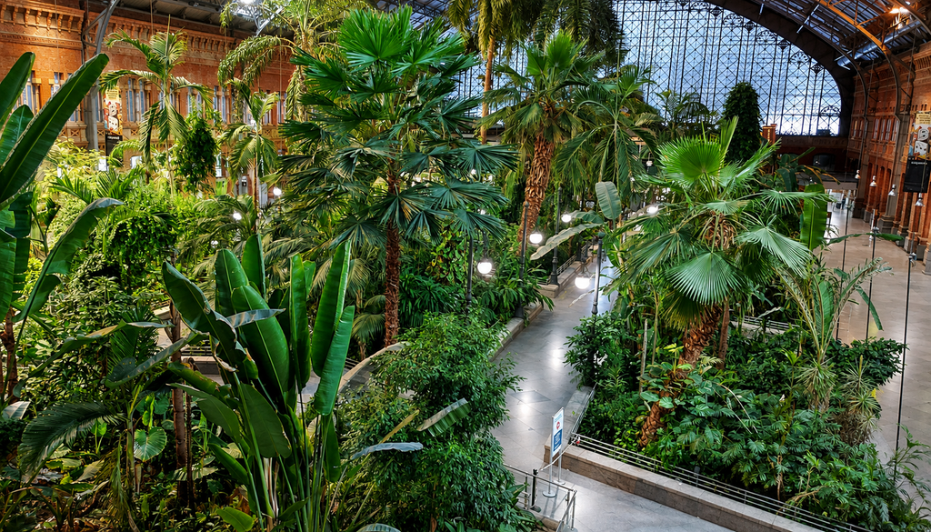 La estación de tren de Atocha, en Madrid, España, alberga un auténtico oasis en su interior.