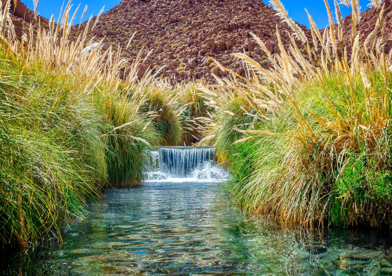 Las Termas de Puritama son una de las más conocidas de Chile, ya que se encuentran cerca del turístico pueblo de San Pedro de Atacama.