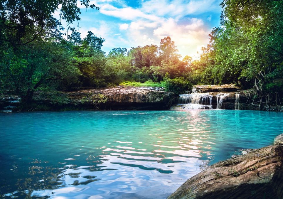 Naturpool