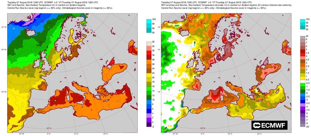 Las Aguas Del Mediterráneo Muy Cálidas Las Aguas Del Mediterráneo Muy Cálidas
