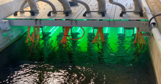 Las aguas residuales y la COVID-19: actualización