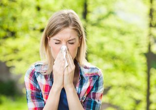 Las alergias primaverales ya han llegado, ¿a qué se deben?