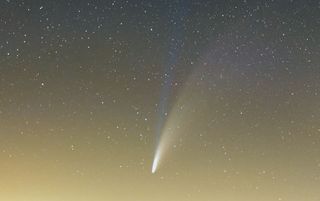 Las bandas sincrónicas del cometa NEOWISE