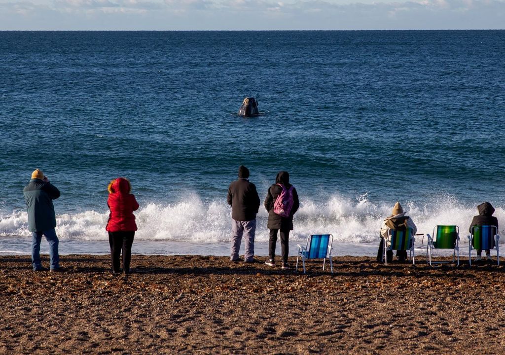 Las Canteras