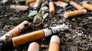 Las colillas de los cigarros son nefastas para el medio ambiente