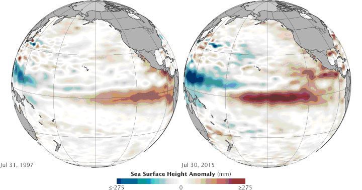 Las Condiciones De El Niño Son Cada Vez Más Fuertes Imágenes de las anomalías de la altura de la superficie del agua del mar en julio de 1997 y julio de 2015