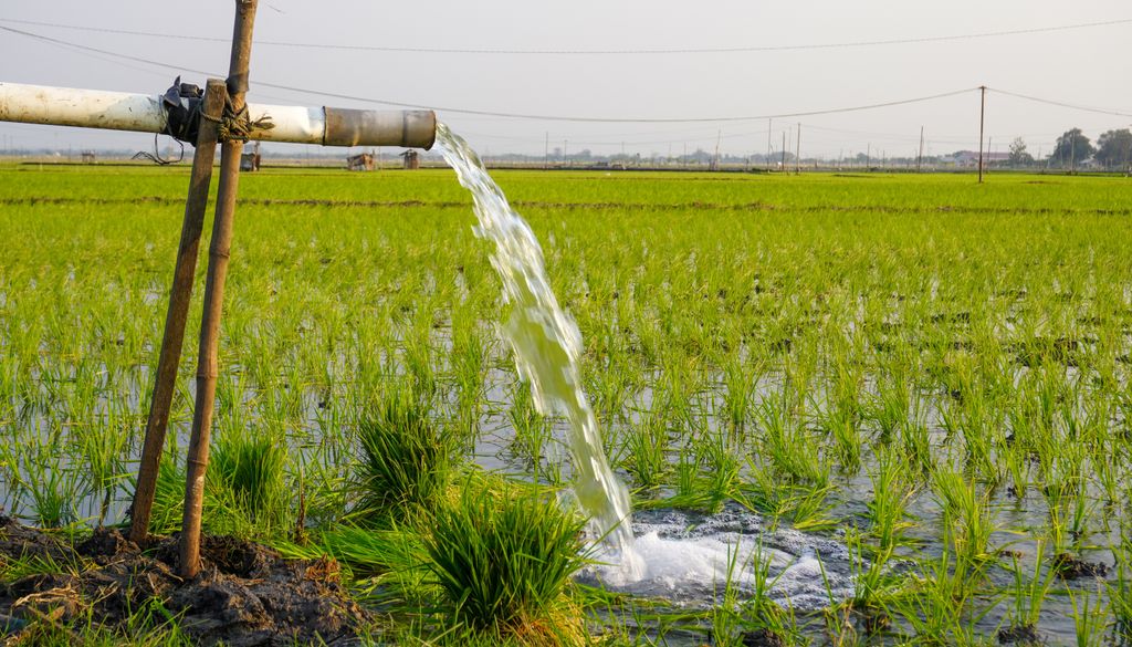 Extracción de aguas subterráneas mediante bombeo para regar cultivos.