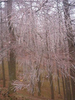 Las crónicas de Narnia