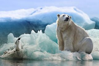 Las curiosidades del "Día Polar"