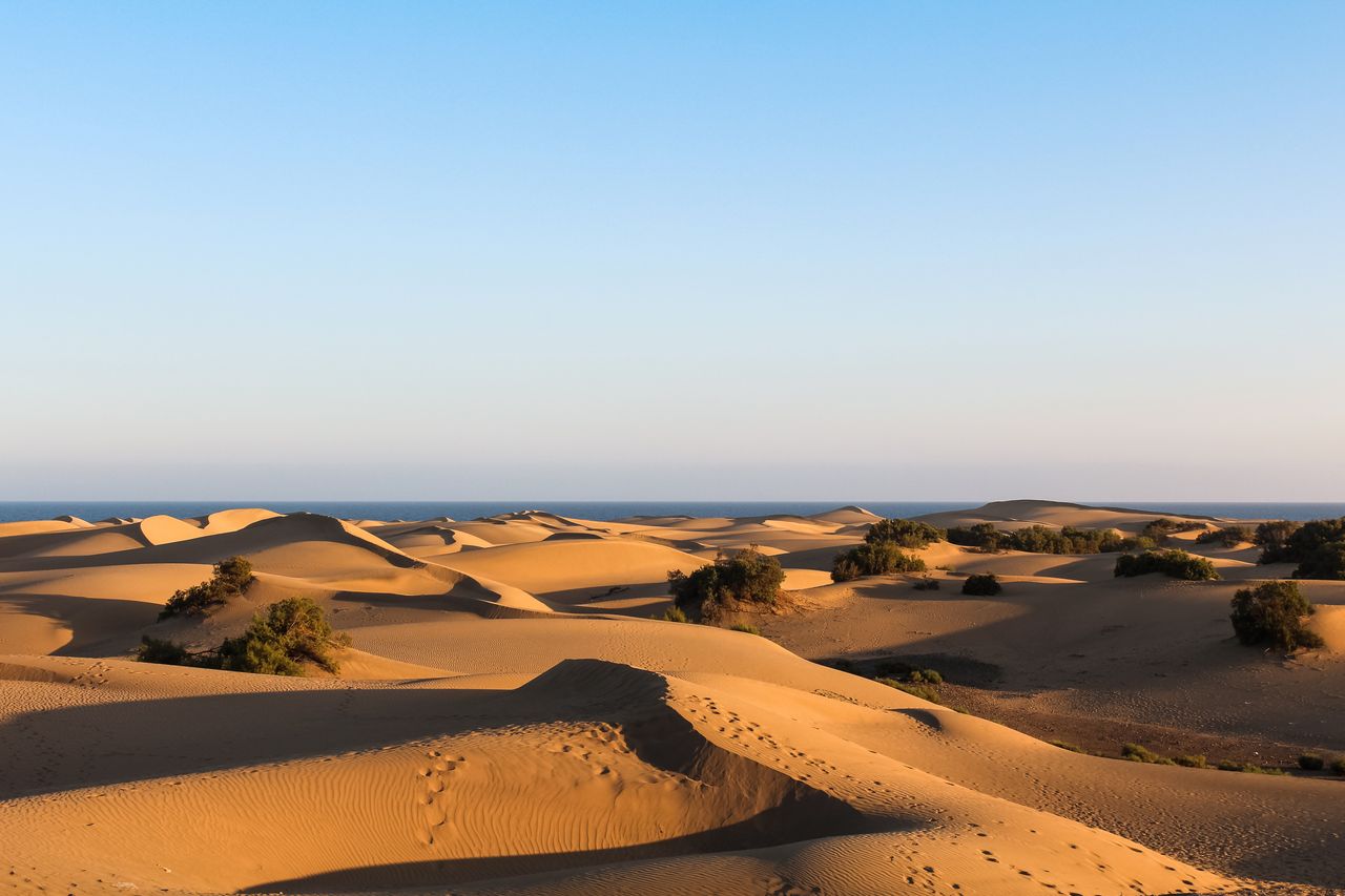 La preocupante expansión de la arena desde las dunas de Maspalomas hacia las viviendas circundantes constituye un problema de suma gravedad que demanda medidas inmediatas y efectivas.