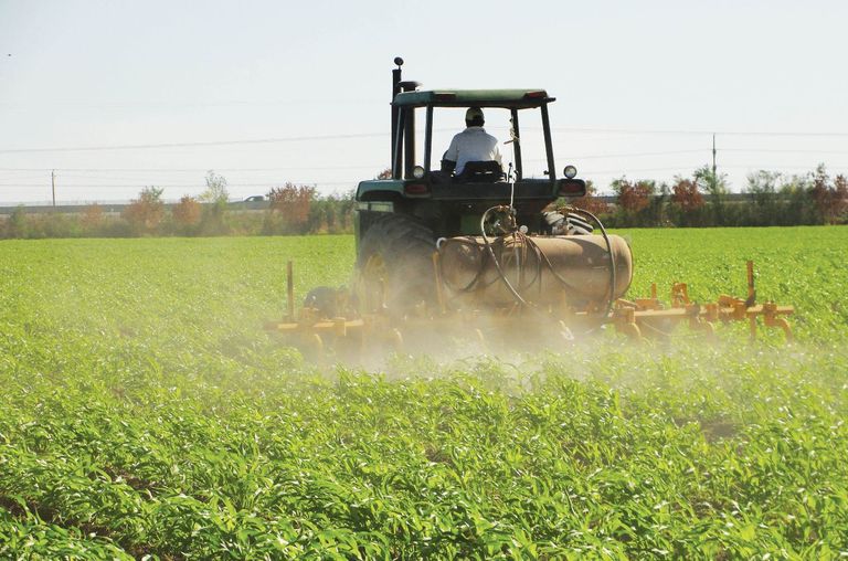 Las Emisiones Europeas De La Agricultura Y El Transporte A Examen Las Emisiones Europeas De La Agricultura Y El Transporte A Examen