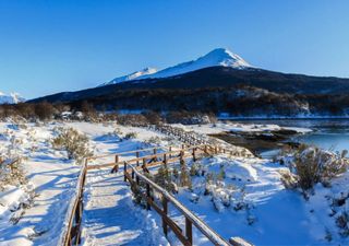 Las excursiones más impresionantes que no te puedes perder en Ushuaia para explorar el pueblo del fin del mundo