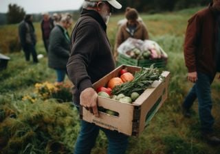 Las frutas y verduras que llegan a tu mesa podrían estar contaminadas: ¿cómo podemos protegernos?