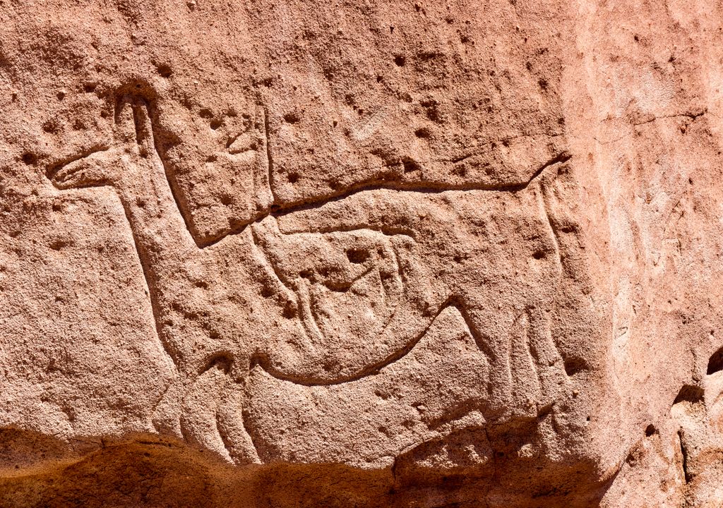 Petroglifos de Yerbas Buenas, arte rupestre en Chile.