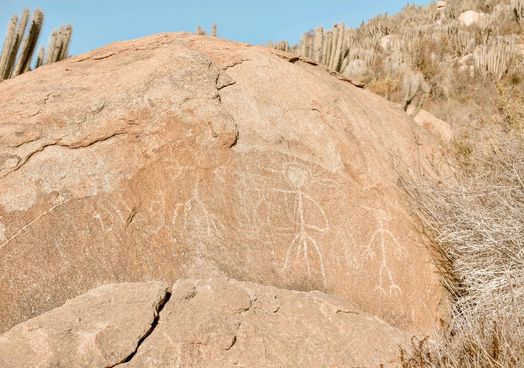 Valle del Encanto, Limarí, Región de Coquimbo.