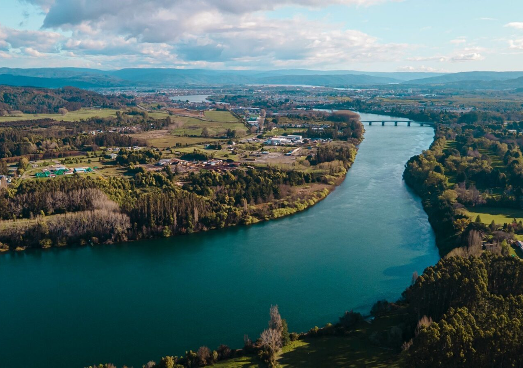 Los humedales y riberas del sur de Chile, como en la zona de Valdivia