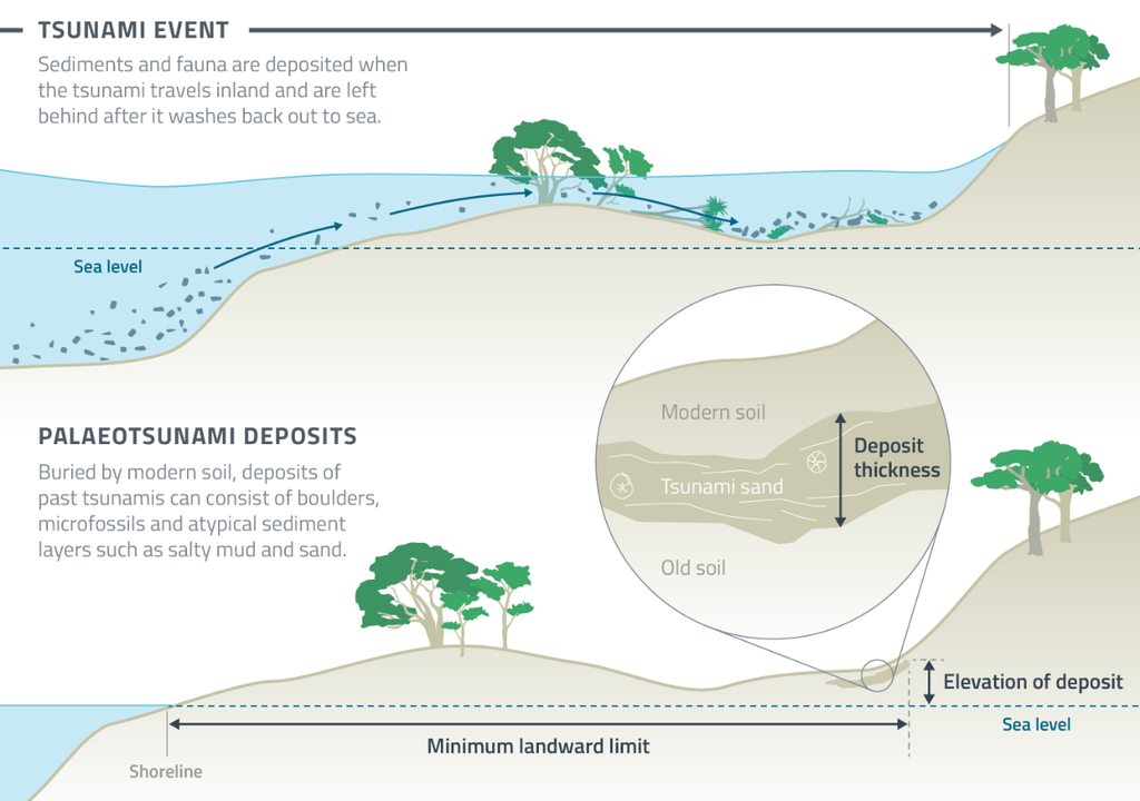 Esquema de cómo un tsunami deja su huella en tierra firme.