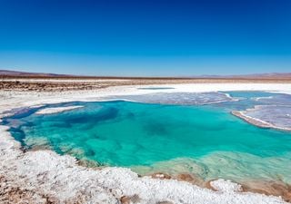 Las impresionantes Lagunas Escondidas de Baltinache, el secreto más hermoso de San Pedro de Atacama