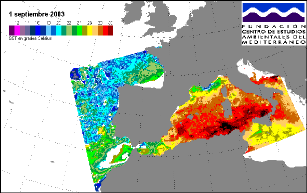 Las Inundaciones De Arcos De Jalón En El Verano Del 2003 Figura nº25. Mapa de temperatura del agua del Mar Mediterráneo, el día 1.