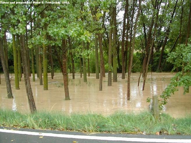 Las Inundaciones De Arcos De Jalón En El Verano Del 2003 Figura nº36. Jalón desbordado.