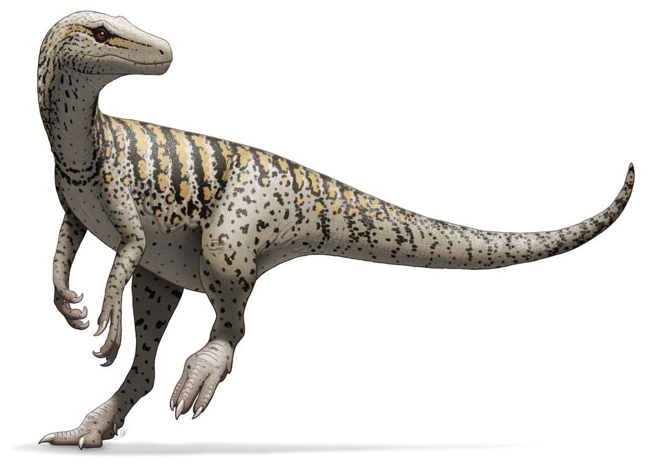 herrerasaurus, paleontologia