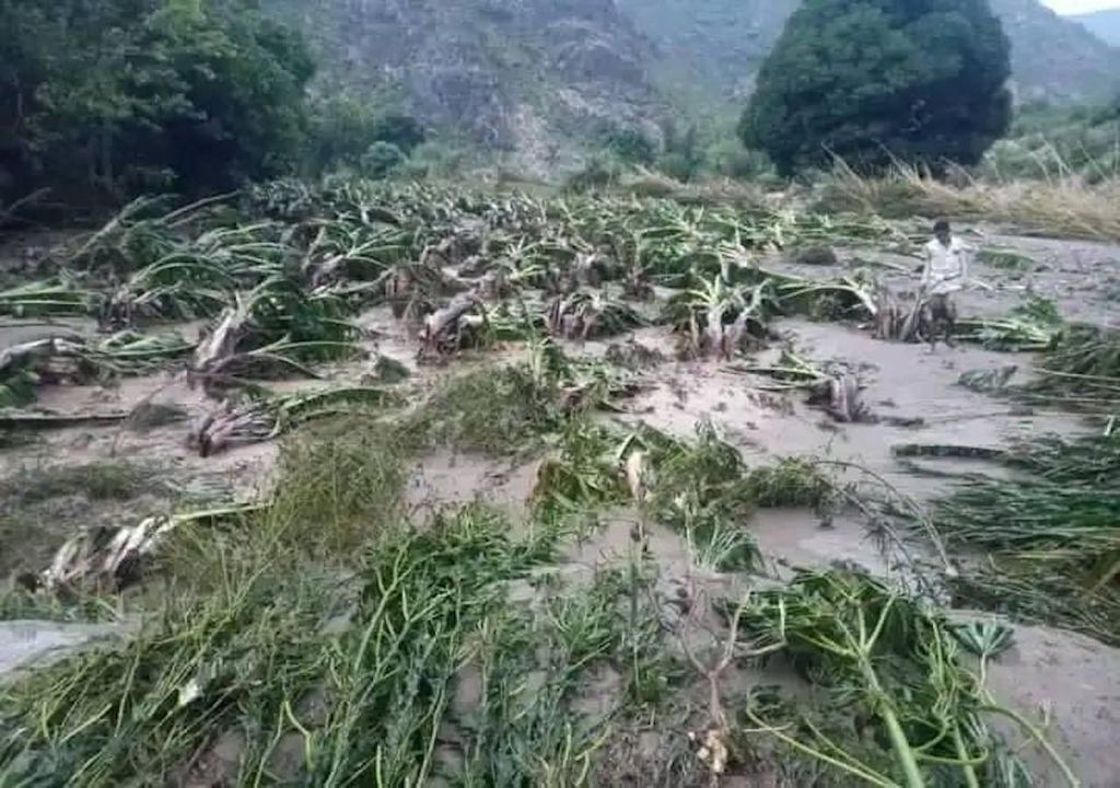 Durch Überschwemmungen zerstörte Plantagen