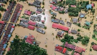 Las inundaciones no comienzan en los r&iacute;os: el papel invisible de los bosques cuando llegan las lluvias