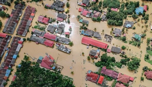Las inundaciones no comienzan en los r&iacute;os: el papel invisible de los bosques cuando llegan las lluvias