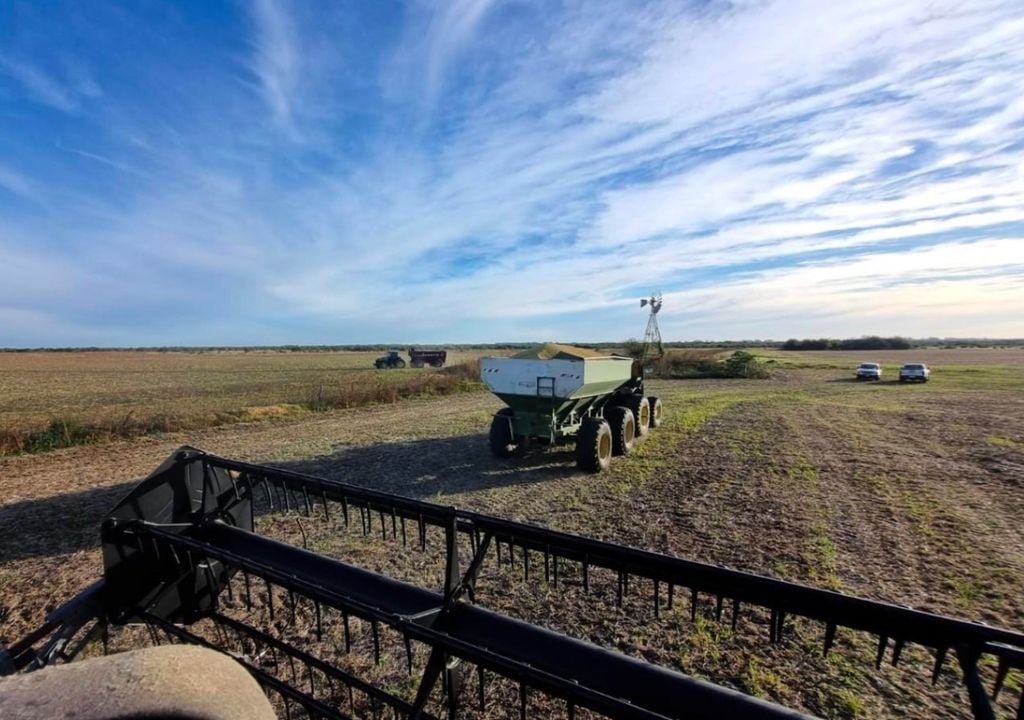soja Cosecha de soja en la localidad de Enrique Carbo, provincia de Entre Rios. Gentileza: Luis Tronco, para la Bolsa de Cereales de Buenos Aires.