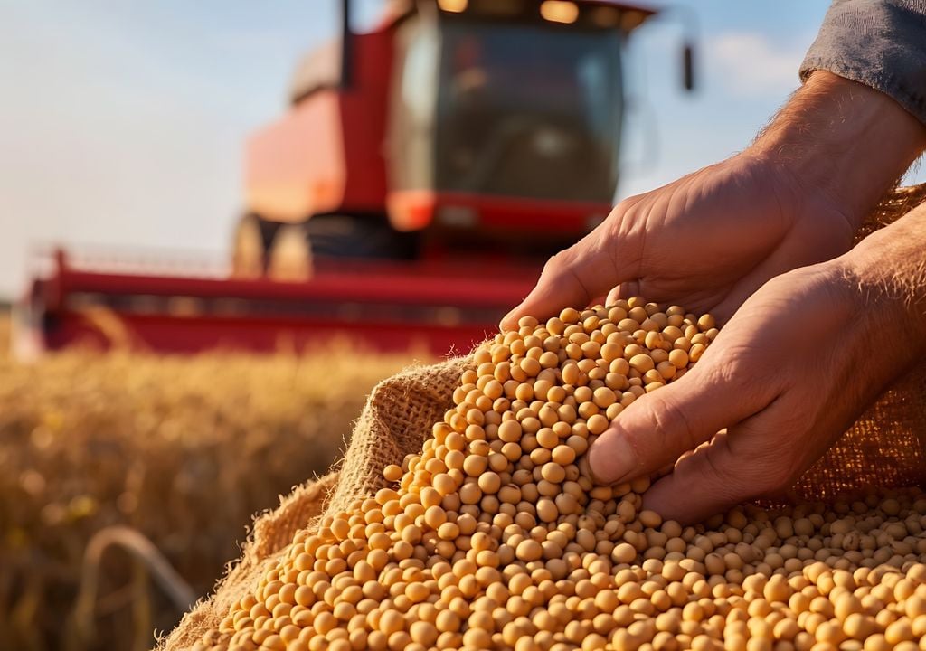 soja La cosecha ya cubre el 74,7 % del área apta nacional, luego de avanzar 17 puntos porcentuales en apenas una semana. Fuente: Bolsa de Cereales de Buenos Aires
