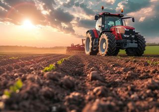 Las lluvias de octubre le cambiaron la cara a la zona núcleo y la soja sumaría más hectáreas