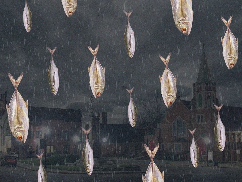 Recreación artística de una lluvia de peces