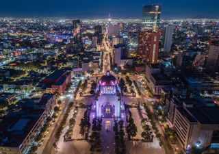 Las luces de las ciudades modifican el reloj biológico de las plantas, según un nuevo estudio