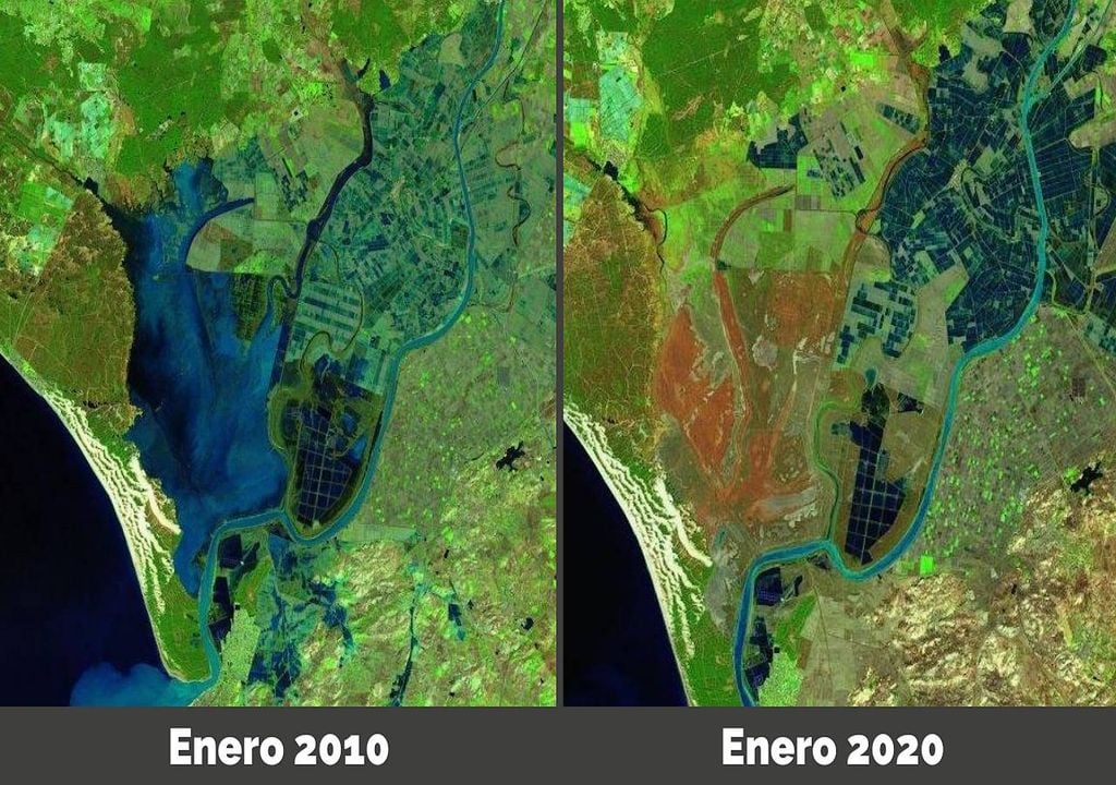 Desapareción de los humedales de Doñana