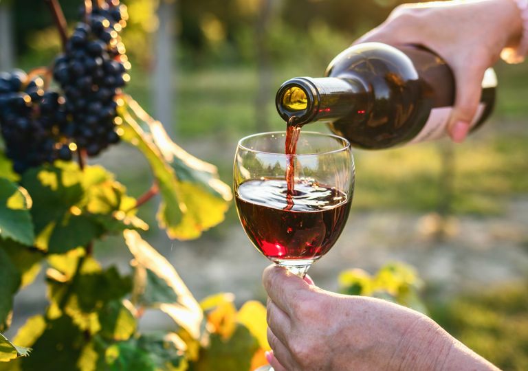 Las mejores fiestas de la vendimia en Chile: de Curic&oacute; a Casablanca, d&oacute;nde ir a catar vinos y vivir la tradici&oacute;n