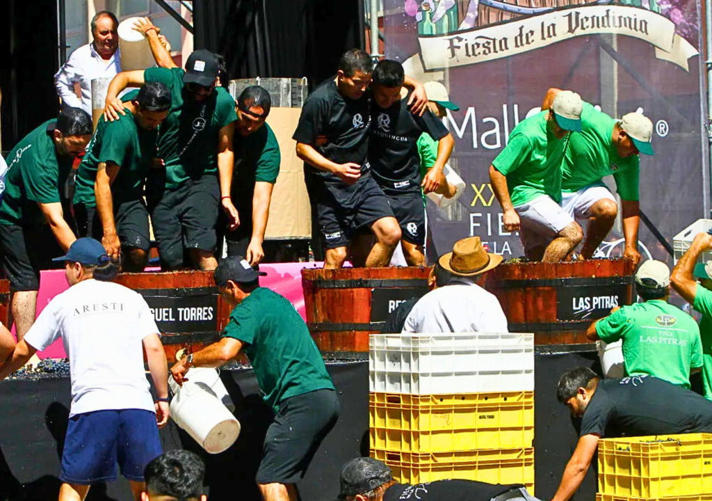 La Fiesta de la Vendimia de Curicó ya se prepara para tres jornadas de música, vino y tradición. Crédito: Municipalidad de Curicó.