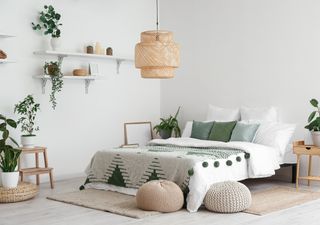 Las mejores plantas para ayudar a conciliar el sueño: nueve aliadas naturales para un descanso reparador 