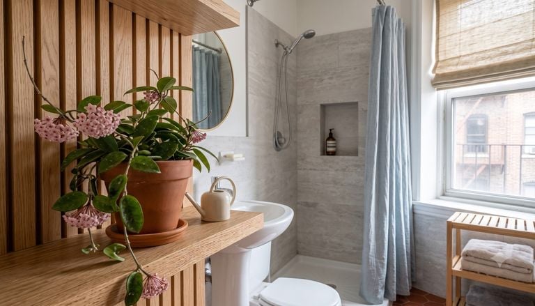Las mejores plantas para el ba&ntilde;o: 5 especies que resisten la humedad y perfuman el ambiente de forma natural
