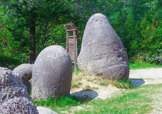 De mysterieuze levende stenen die groeien en bewegen: waar zijn ze en welk geheim verbergen ze?