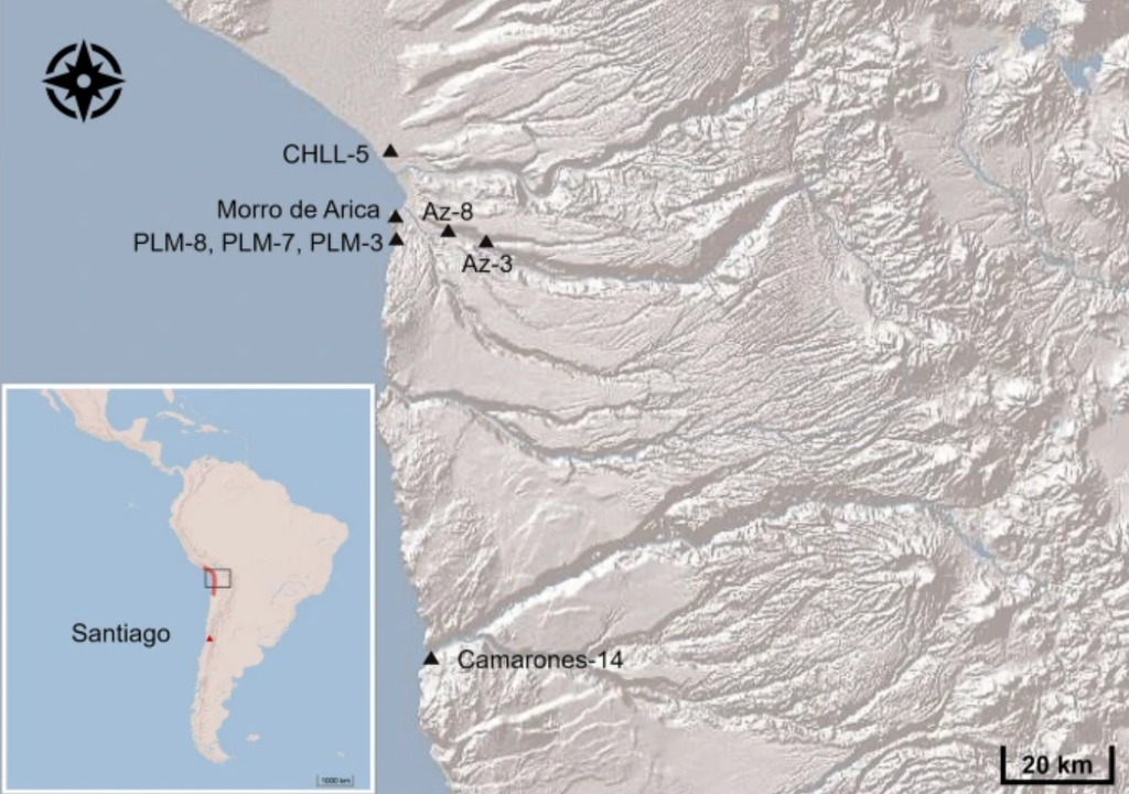 Mapa con la ubicación de sitios arqueológicos de la cultura Chinchorro y poblaciones agrícolas prehispánicas en la región de Arica y Parinacota, norte de Chile. Fuente: SEGEMAR (Servicio Geológico Minero Argentino). Nature.