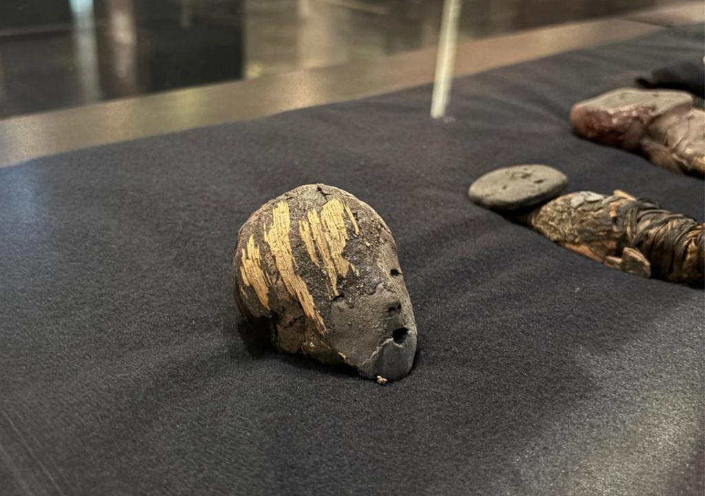 Cráneo Chinchorro conservado en el norte de Chile. Crédito: Museo Arqueológico San Miguel de Azapa / U. de Tarapacá.