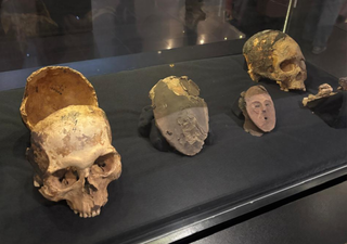 Las momias de Atacama tenían cerebros más pequeños: la ciencia explica por qué