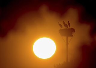 Las muertes en Holanda aumentaron en 400 durante la ola de calor