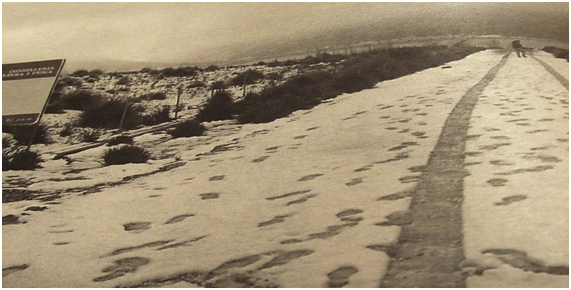 Las Nevadas En Mallorca: Años 90 Las Nevadas En Mallorca: Años 90