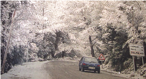 Las Nevadas En Mallorca: Años 90 Las Nevadas En Mallorca: Años 90