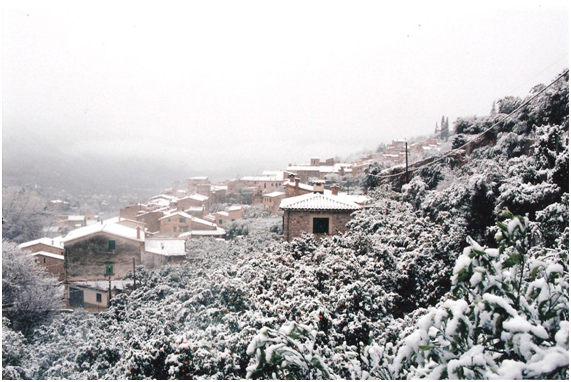 Figura 22: La nieve cubrió Fornalutx (200 mts), por cuarta vez ese mismo año Figura 22: La nieve cubrió Fornalutx (200 mts), por cuarta vez ese mismo año